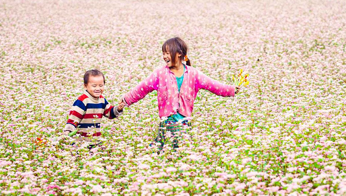 Đồng Văn – Mèo Vạc: ở hà giang đi đâu ăn gì