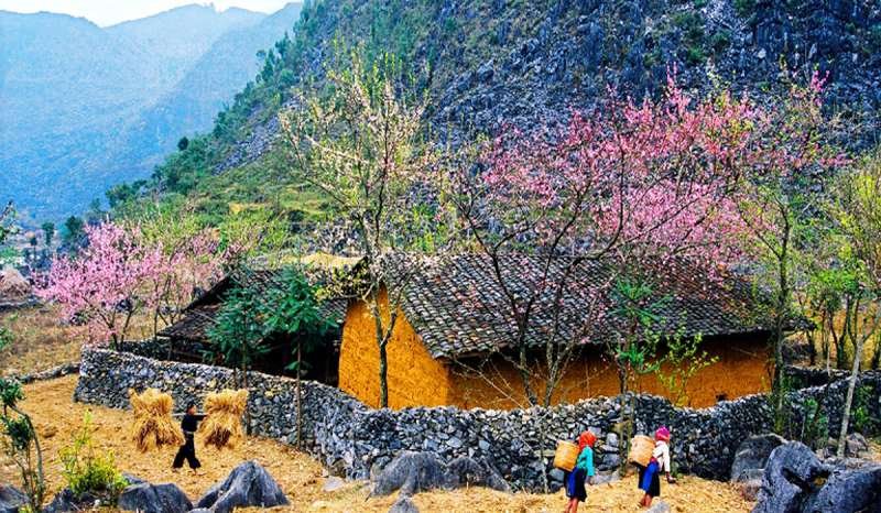 Best Time to Visit Ha Giang Loop